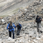 Exercise Staves off Alzheimer's Exercise Staves off Alzheimer's