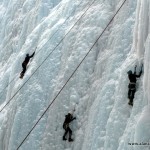 Ouray Crowds