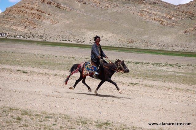 Tibetan on horse