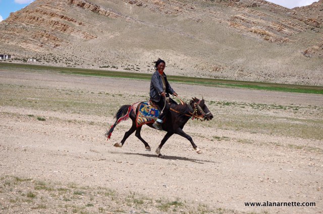 Tibetan on horse