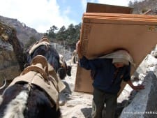Porters in Nepal. People like me could not do what I do without your strength, and commitment. Thank you.