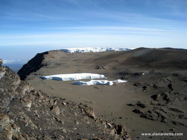 12226929_10153413000113411_1965264526405251918_n