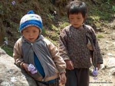 Passing out flowers to the trekkers in the Khumbu