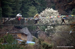 Trekking the Khumbu