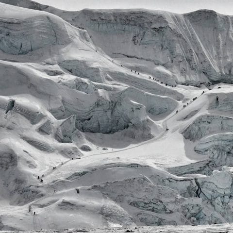 North Col Wall 2017. courtesy of Adrian Ballinger