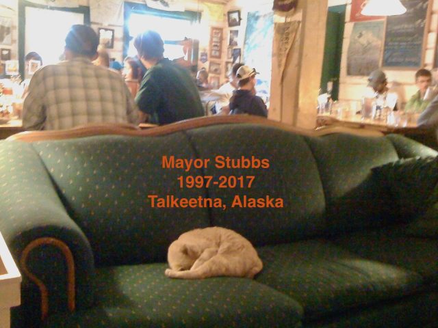 Talkeetna's Mayor Stubbs