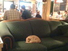 The Talkeetna Hang