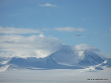Vinson Trip Report, Videos and Pictures