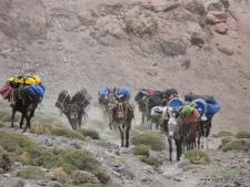 Aconcagua Memories
