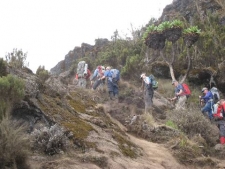 Higher on Kilimanjaro