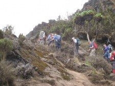 Higher on Kilimanjaro