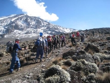 Leaving for Kilimanjaro summit in 9 hours!