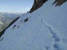 Breaking Trail at 14K on Longs Peak