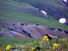 Paying To Climb Colorado 14ers