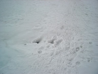 snowbrige over a crevasse