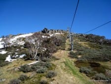 Snow Gum Trees on Kosciuszko