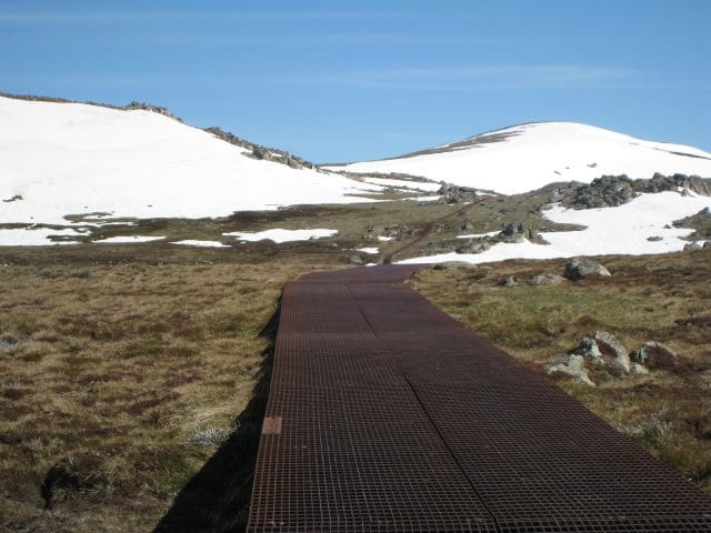 Kosciuszko