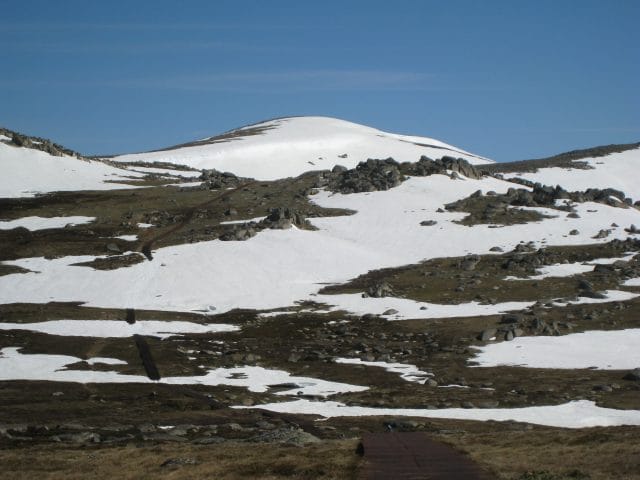 Kosciuszko