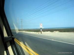 Along the Pan American Highway