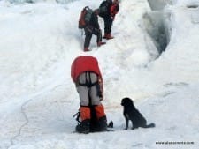 Khumbu Icefall Ladders