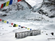 Ladders for the Icefall