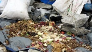 Recycling at EBCRecycling at EBC