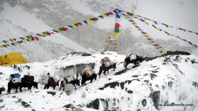 Everest Base Camp 2015