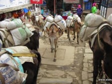 Namche Bazaar 2016Namche Bazaar 2016