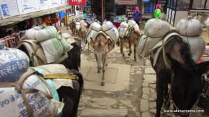 Namche Bazaar 2016Namche Bazaar 2016