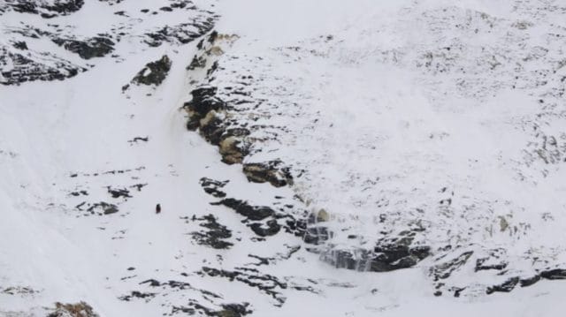 Nobukazu Kuriki's on Everest