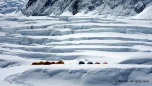 Camp 1 in Western Cwm