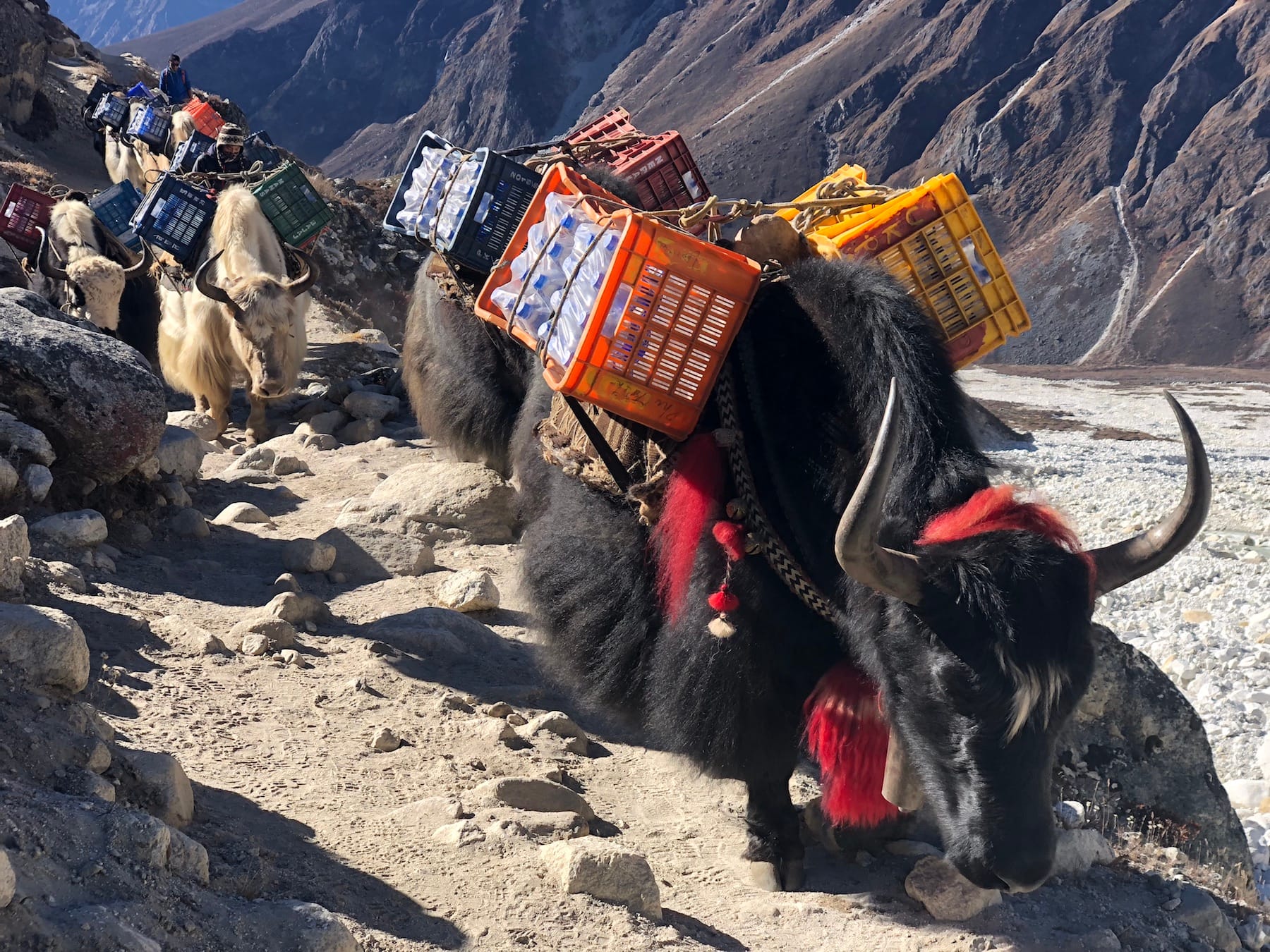 base camp everest trek distance