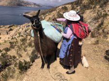Bolivian lady with her llama and puppy on Isla del Sol Bolivia.jpg