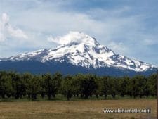 Mt. Hood