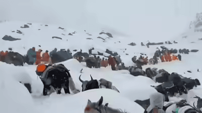 Stranded Trekkers in Tibet October 2025