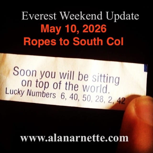 May 10 Update