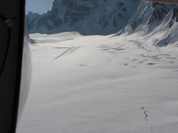 The landing strip on the Kahiltna Glacier - click to enlarge