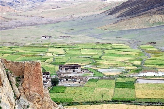 Click for large image