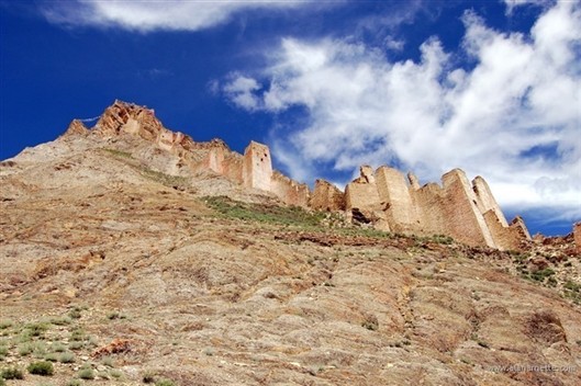 Click for large image