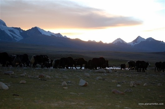 Click for large image