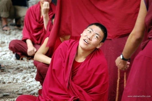 Click for large image