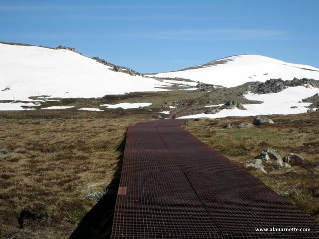 Metal Boardwalk to Kosciuszko